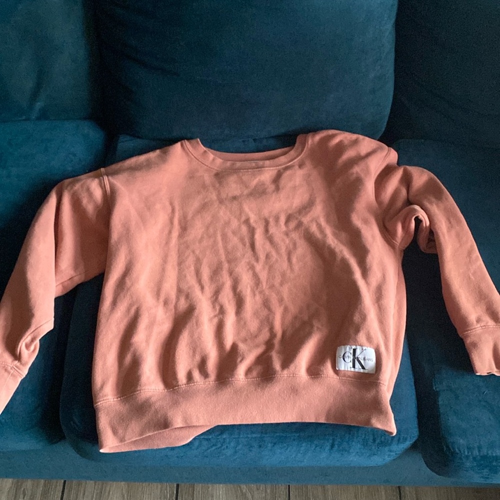 small calvin clien sweatshirt
